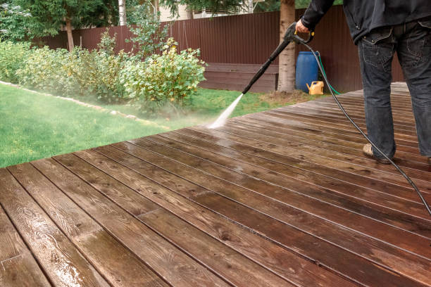 Best Soft Washing  in Shady Shores, TX