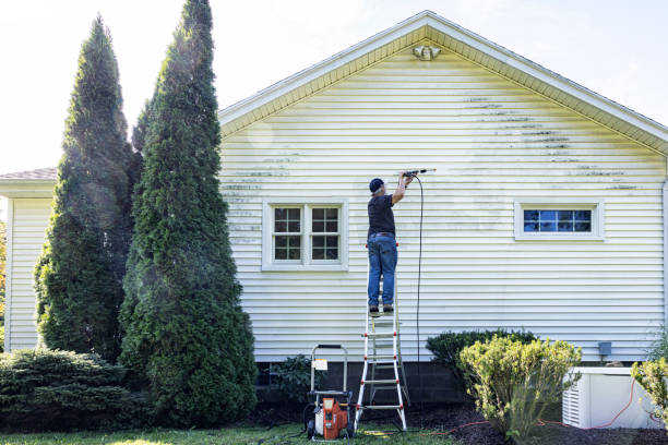 Best Gutter Cleaning  in Shady Shores, TX