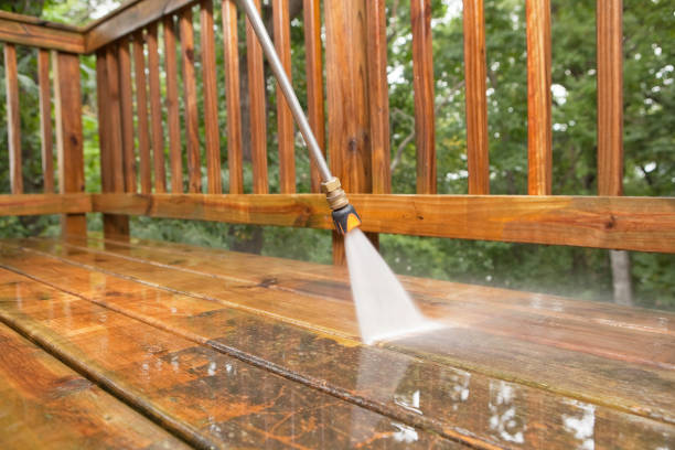 Best Fence Cleaning  in Shady Shores, TX